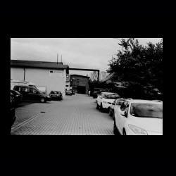 Classic Camera Walk 031 .jpg