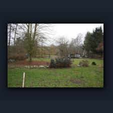 Garten 005.jpg