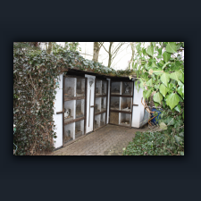 Garten 006.jpg