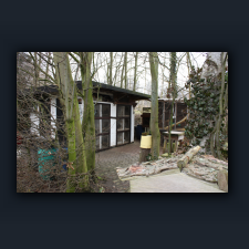 Garten 010.jpg