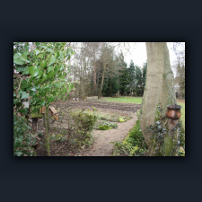 Garten 023.jpg