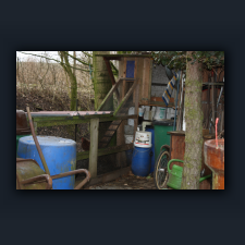 Garten 027.jpg