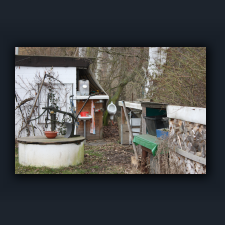 Garten 028.jpg
