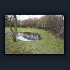 Garten 036.jpg