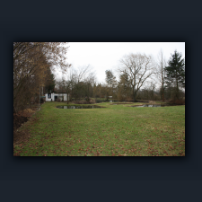 Garten 039.jpg