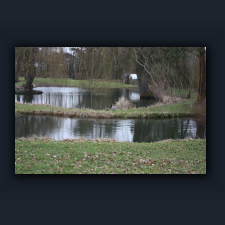 Garten 041.jpg