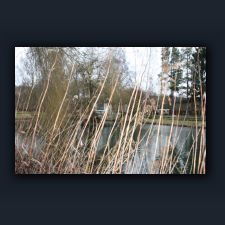 Garten 043.jpg