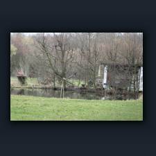 Garten 050.jpg