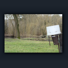 Garten 051.jpg