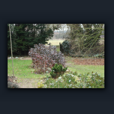 Garten 052.jpg