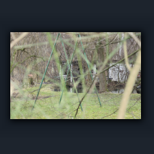 Garten 060.jpg