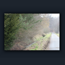 Garten 064.jpg