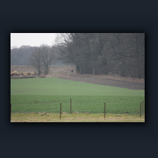 Garten 065.jpg