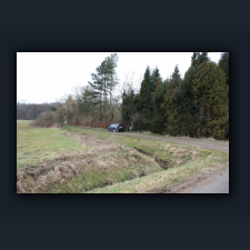 Garten 069.jpg