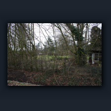 Garten 074.jpg