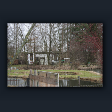 Garten 077.jpg