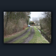 Garten 080.jpg