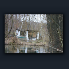 Garten 083.jpg