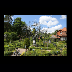 Iserhatsche 020 .jpg
