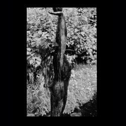 Iserhatsche Analog 019 .jpg