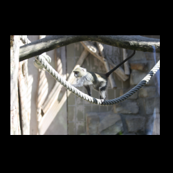 aIMG_8554.jpg
