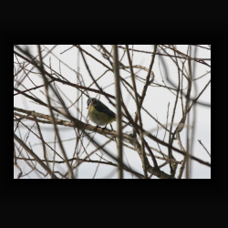 IMG_7704.jpg