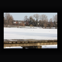 eIMG_7456.jpg