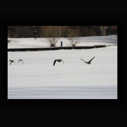 eIMG_7459.jpg