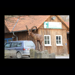 Sababurg 087 .jpg