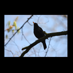 IMG_8463.jpg