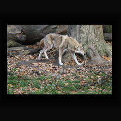 IMG_6027.jpg