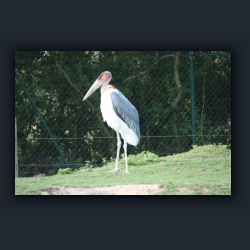 Essehof 020 - g03.jpg