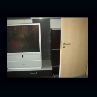 W294.jpg